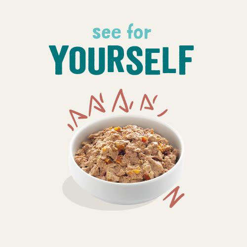 Edgard Cooper Grain Free Senior Chicken & Salmon Wet Dog Food