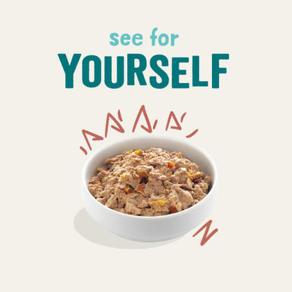 Edgard Cooper Grain Free Senior Chicken & Salmon Wet Dog Food