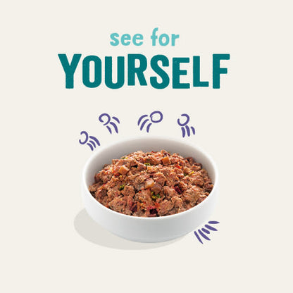 Edgard Cooper Grain Free Adult Beef Wet Dog Food