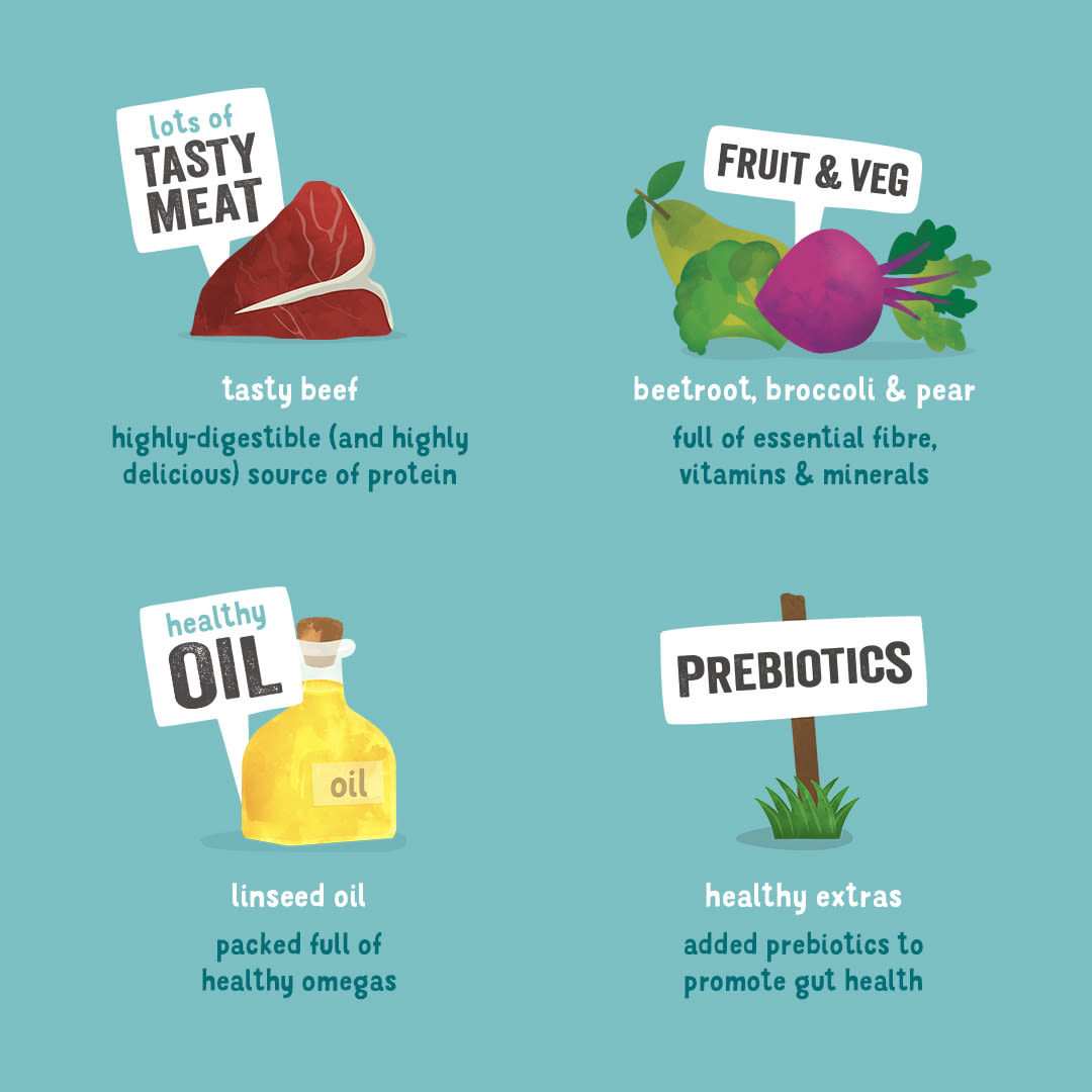 Edgard Cooper Grain Free Adult Beef Wet Dog Food