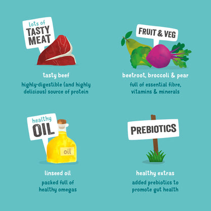 Edgard Cooper Grain Free Adult Beef Wet Dog Food