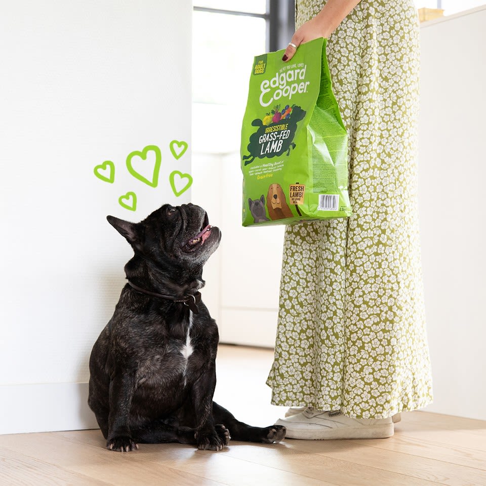 Edgard Cooper Grain Free Adult Grass Fed Lamb Dry Dog Food