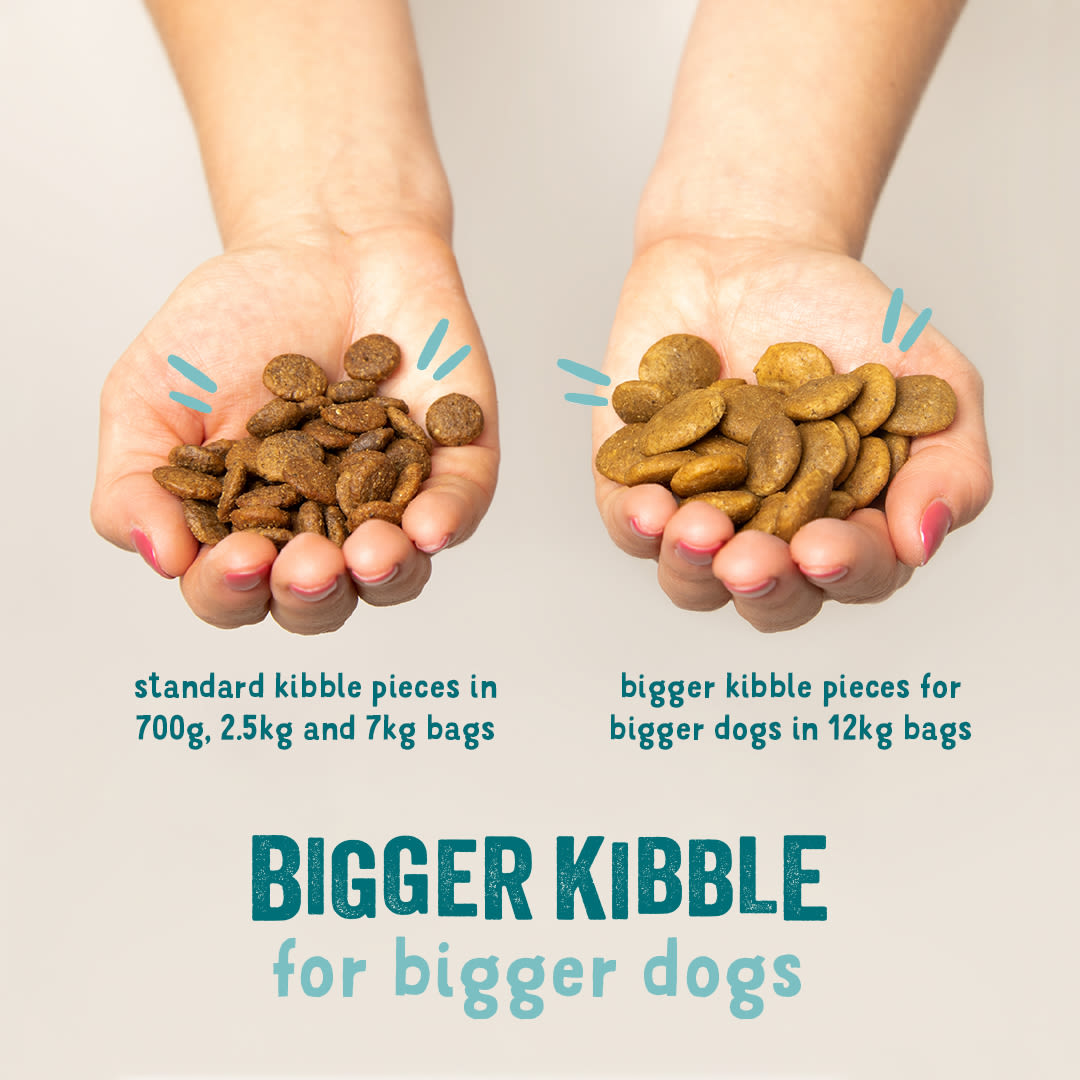 Edgard Cooper Grain Free Adult Grass Fed Lamb Dry Dog Food