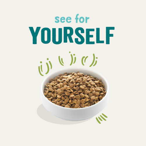 Edgard Cooper Grain Free Adult Grass Fed Lamb Dry Dog Food