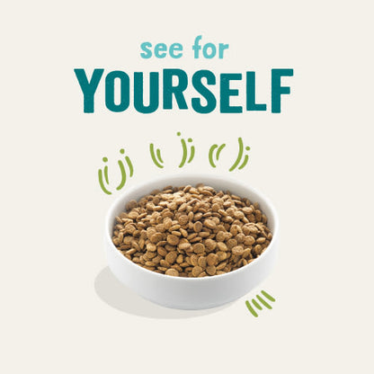 Edgard Cooper Grain Free Adult Grass Fed Lamb Dry Dog Food