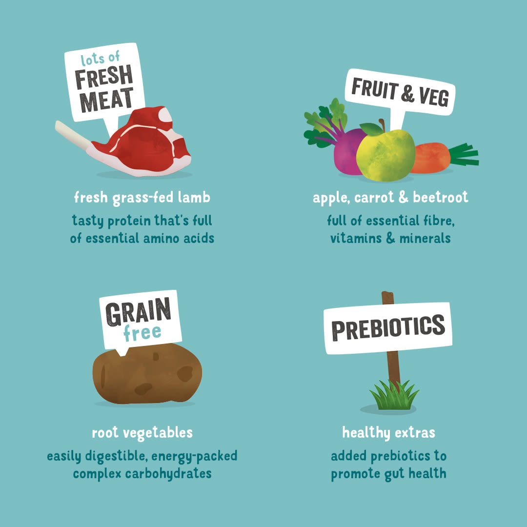 Edgard Cooper Grain Free Adult Grass Fed Lamb Dry Dog Food