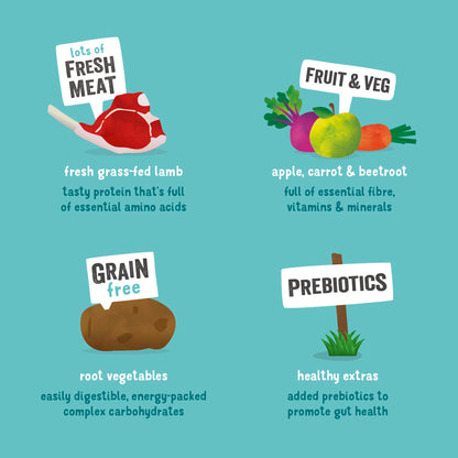 Edgard Cooper Grain Free Adult Grass Fed Lamb Dry Dog Food