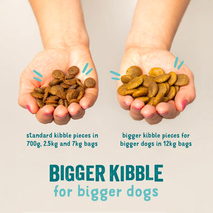 Edgard Cooper Grain Free Adult Venison & Duck Dry Dog Food