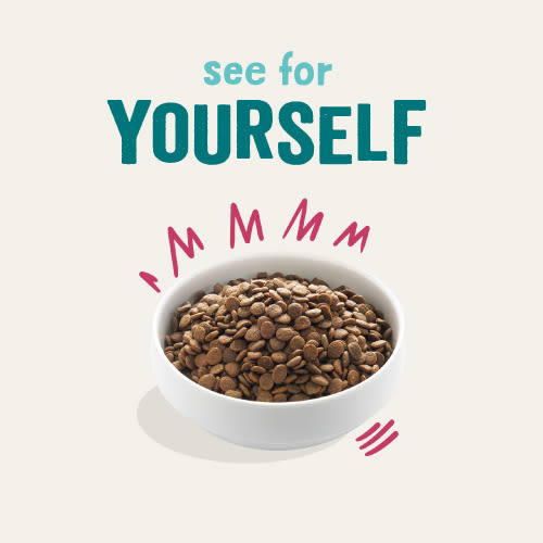 Edgard Cooper Grain Free Adult Venison & Duck Dry Dog Food