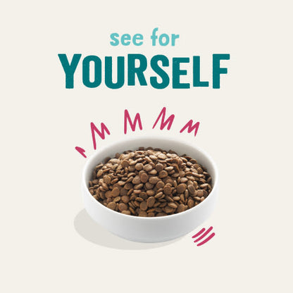 Edgard Cooper Grain Free Adult Venison & Duck Dry Dog Food