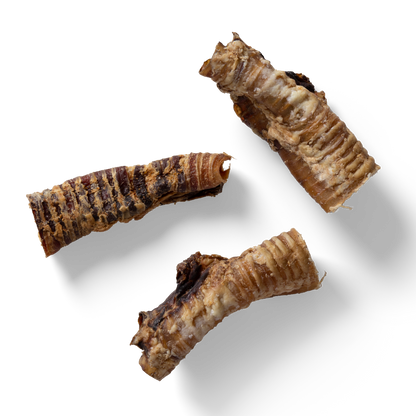 NAW Natural Beef Trachea Dog Chew Treats