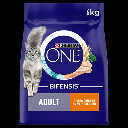 Purina One Chicken Adult Dry Cat Food