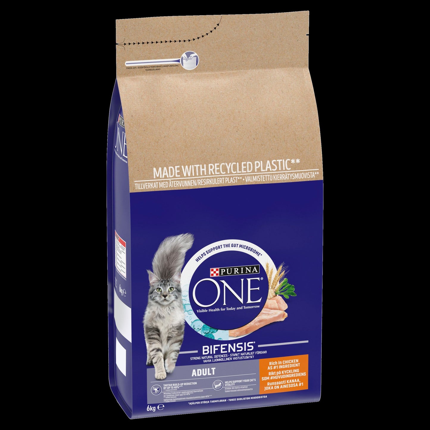 Purina One Chicken Adult Dry Cat Food