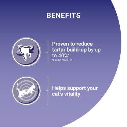 Purina One Chicken Adult Dry Cat Food