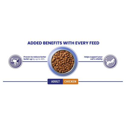 Purina One Chicken Adult Dry Cat Food