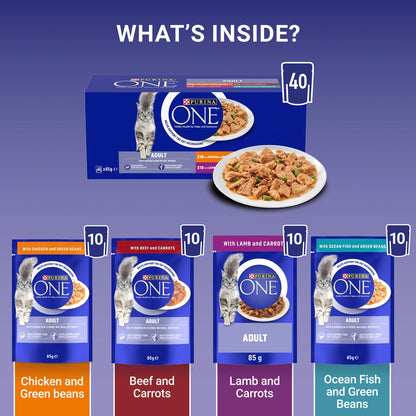 Purina One Mini Fillets Mixed Selection in Gravy Wet Cat Food