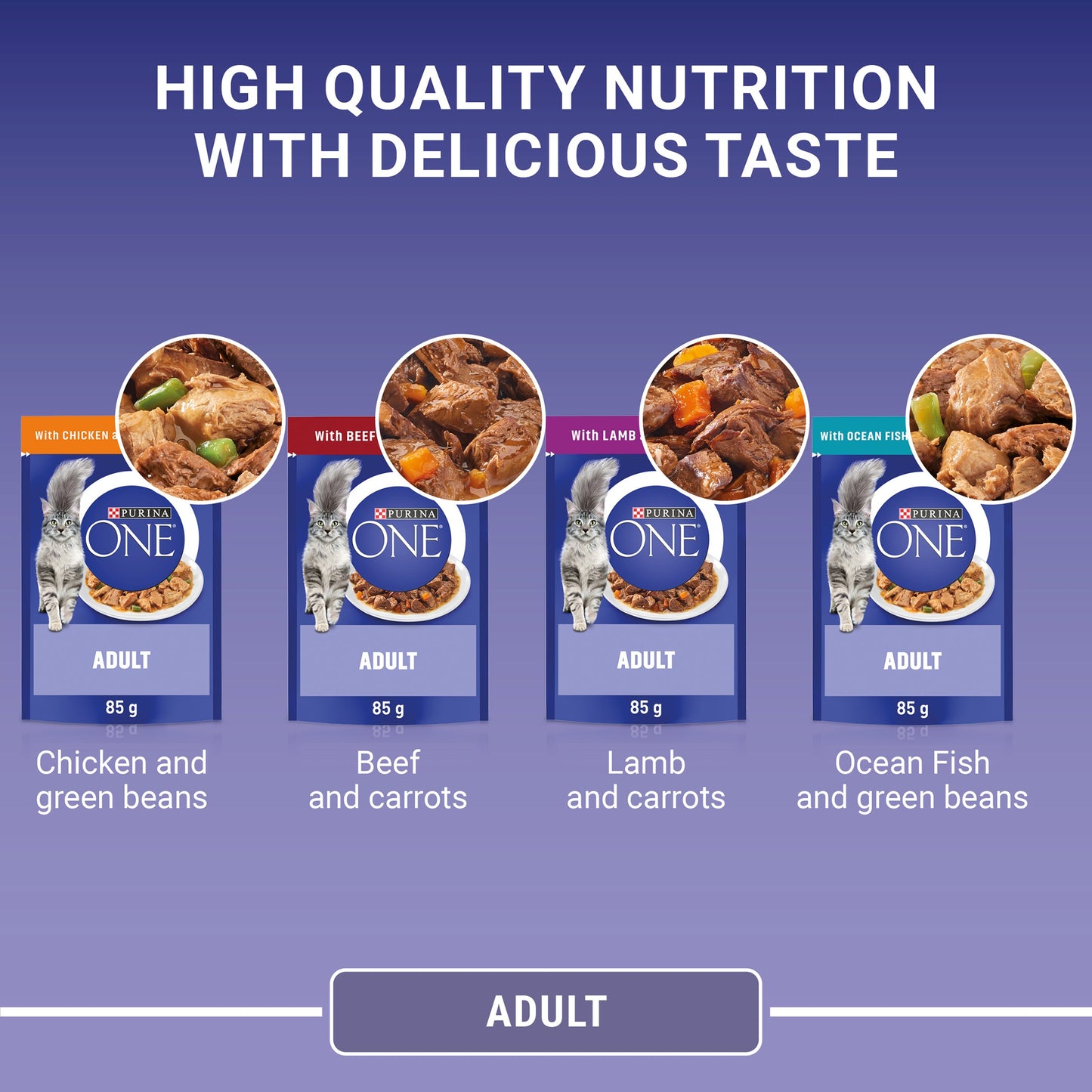 Purina One Mini Fillets Mixed Selection in Gravy Wet Cat Food