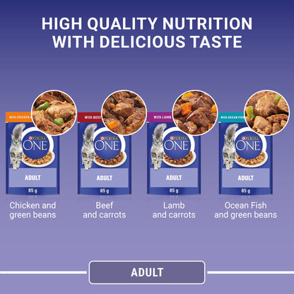 Purina One Mini Fillets Mixed Selection in Gravy Wet Cat Food