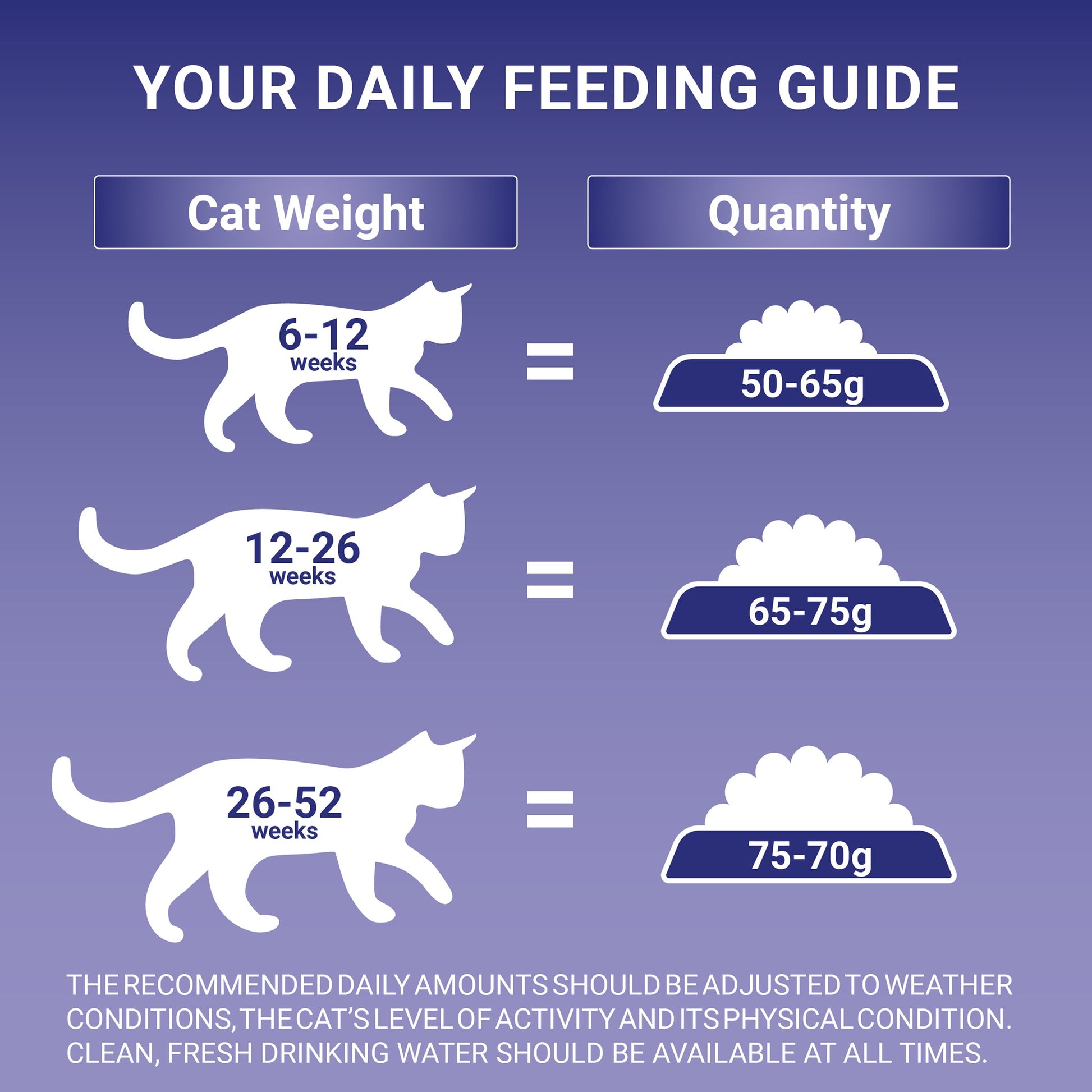 How Much Dry Food to Feed a Cat Per Day: Expert Feeding Guide