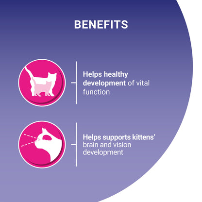 Purina One Kitten Chicken Dry Cat Food