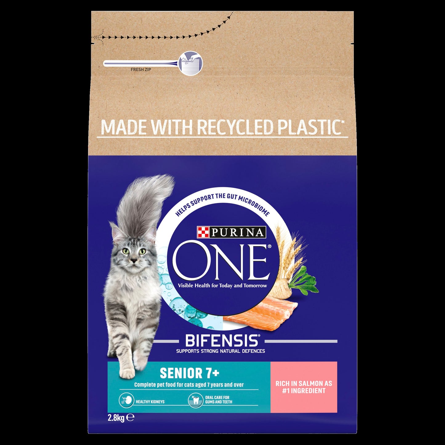 Purina One Senior Salmon Dry Cat Food