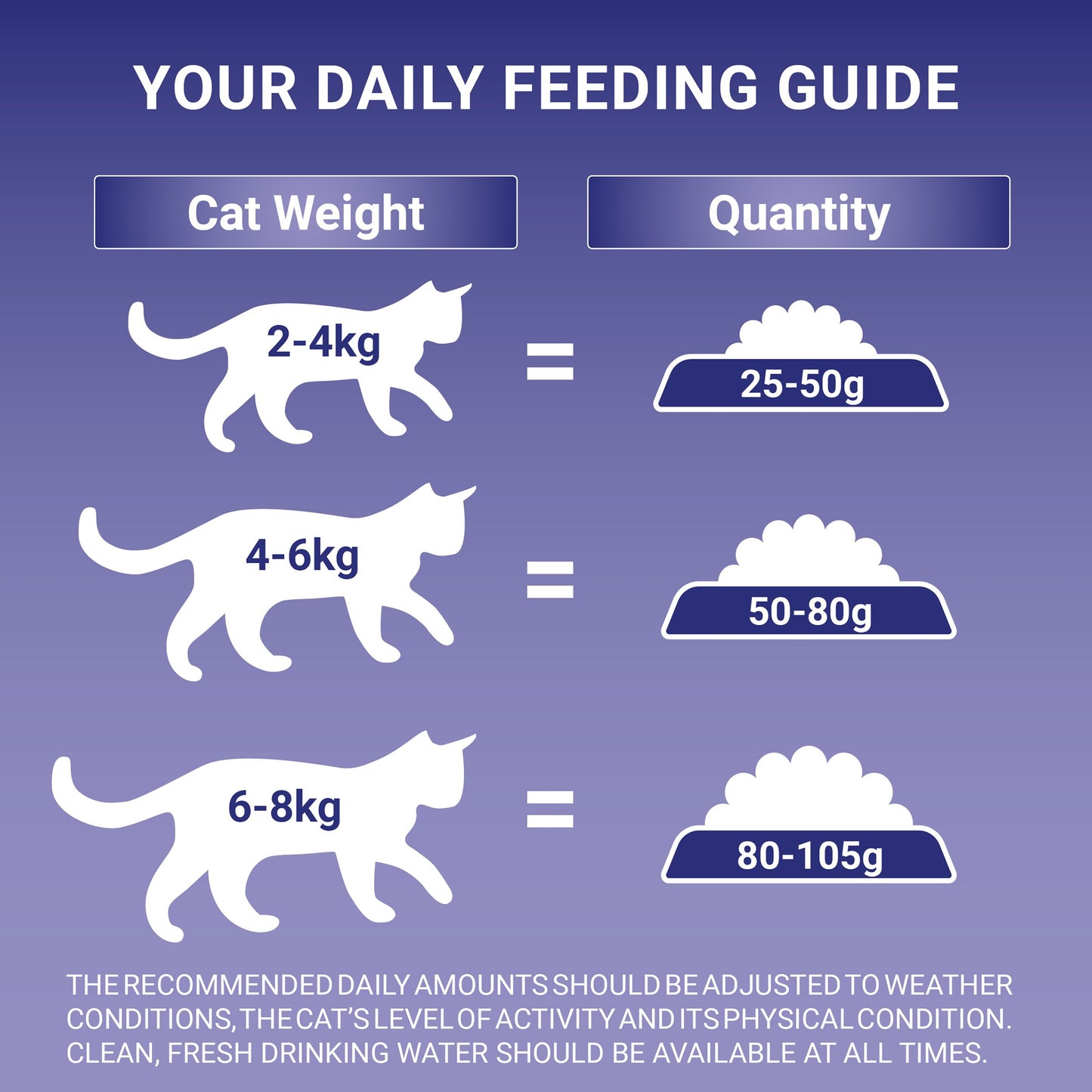 Purina One Senior Salmon Dry Cat Food