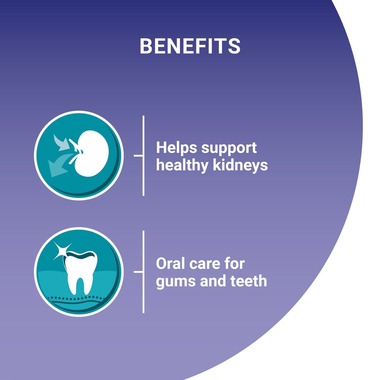 Purina One Senior Salmon Dry Cat Food