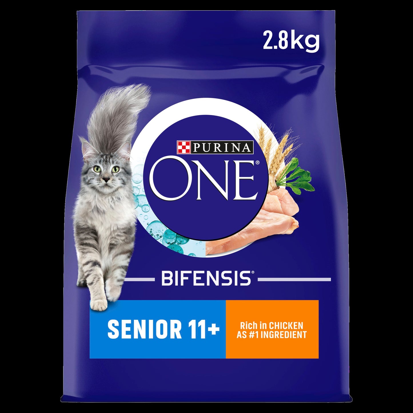 Purina One Senior Chicken Dry Cat Food