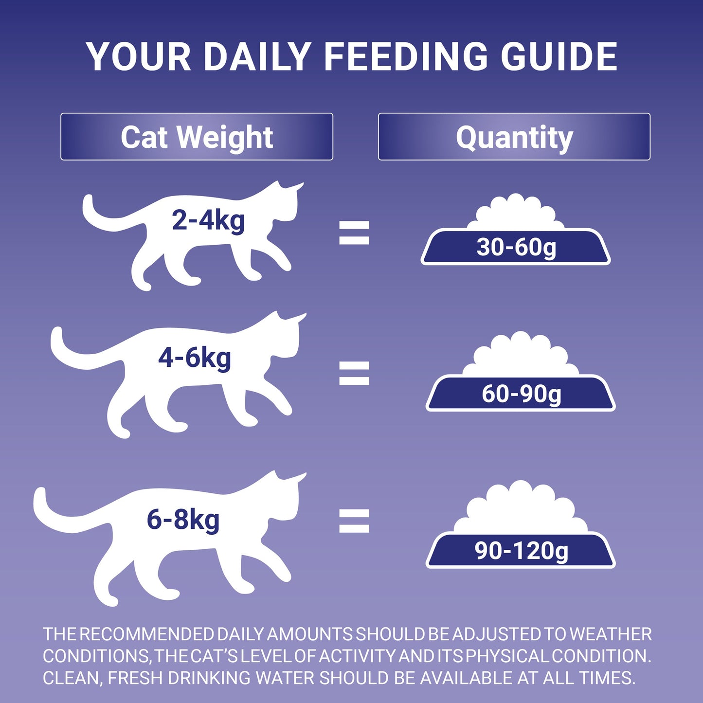 Purina One Senior Chicken Dry Cat Food