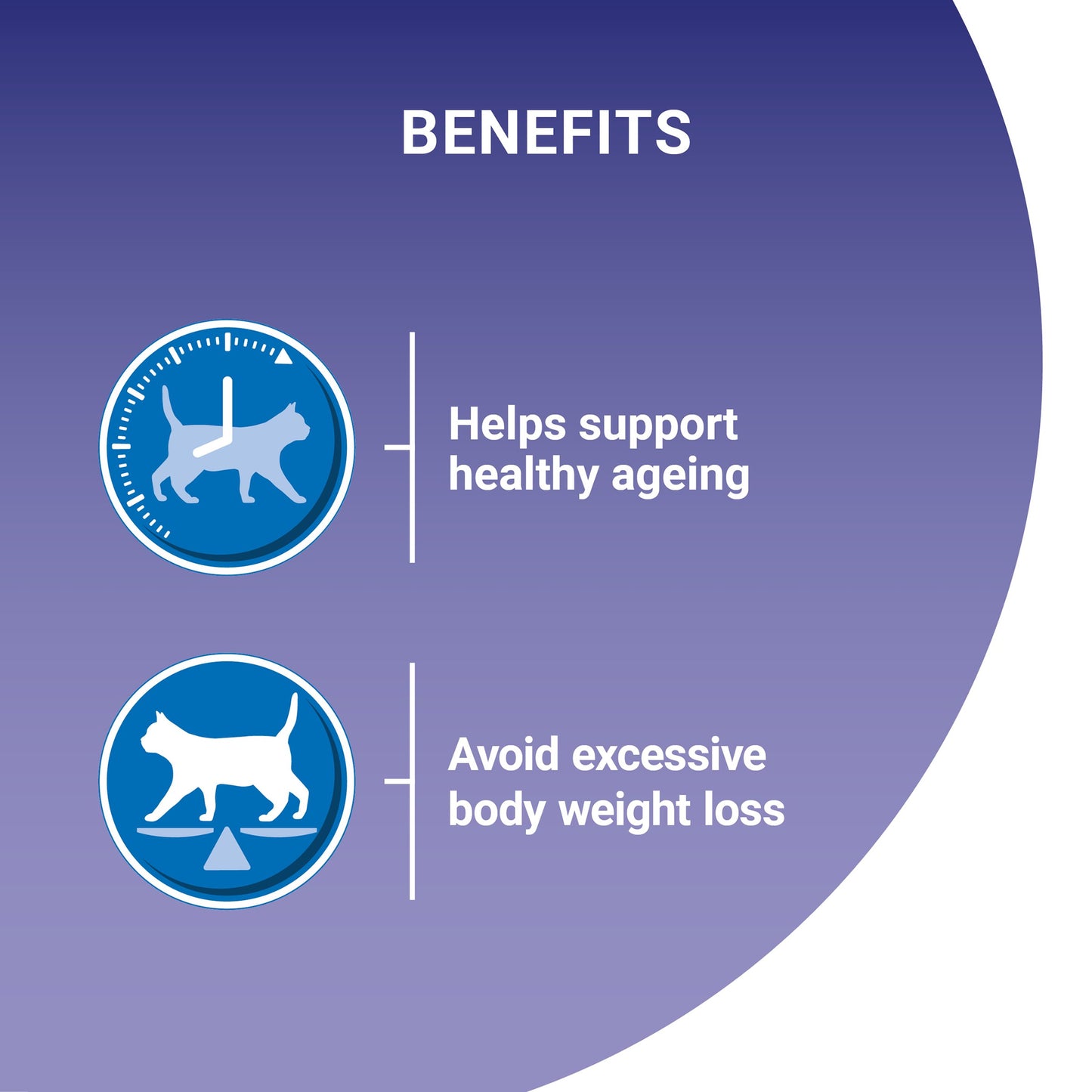 Purina One Senior Chicken Dry Cat Food