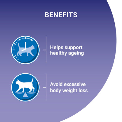 Purina One Senior Chicken Dry Cat Food