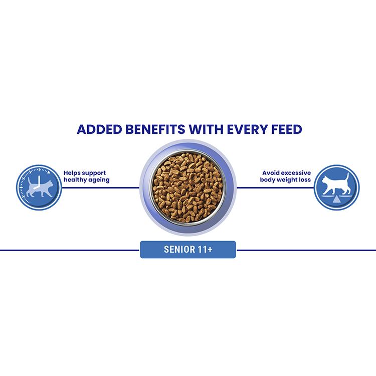 Purina One Senior Chicken Dry Cat Food