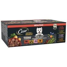 Cesar Natural Goodness Mixed Selection Adult Dry Dog Food