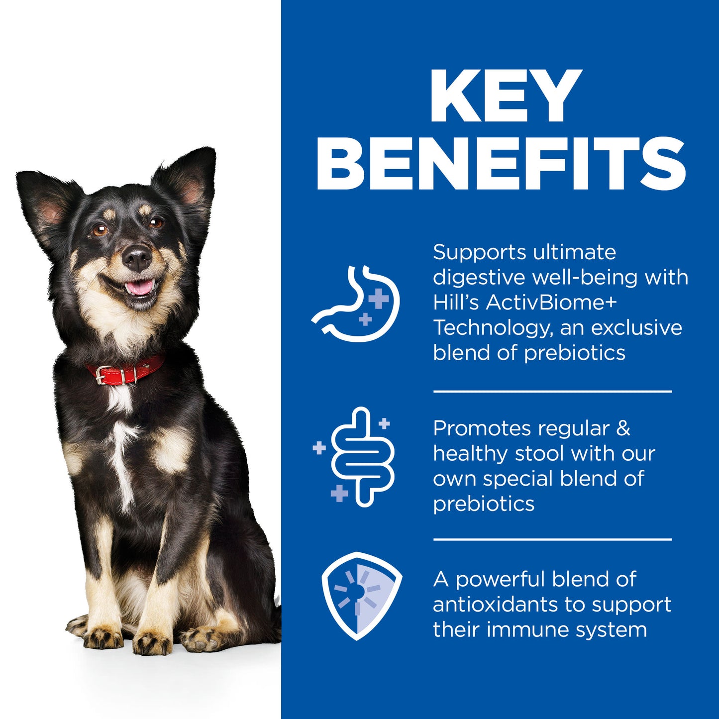 Hill's Science Plan Perfect Digestion Small & Mini Adult Wet Dog Food - Turkey