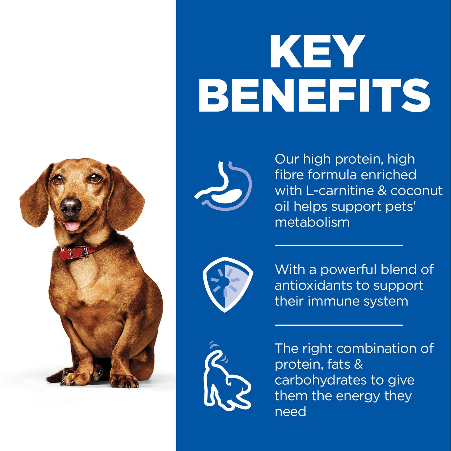 Hill's Science Plan Perfect Weight Adult Small & Mini Wet Dog Food - Turkey