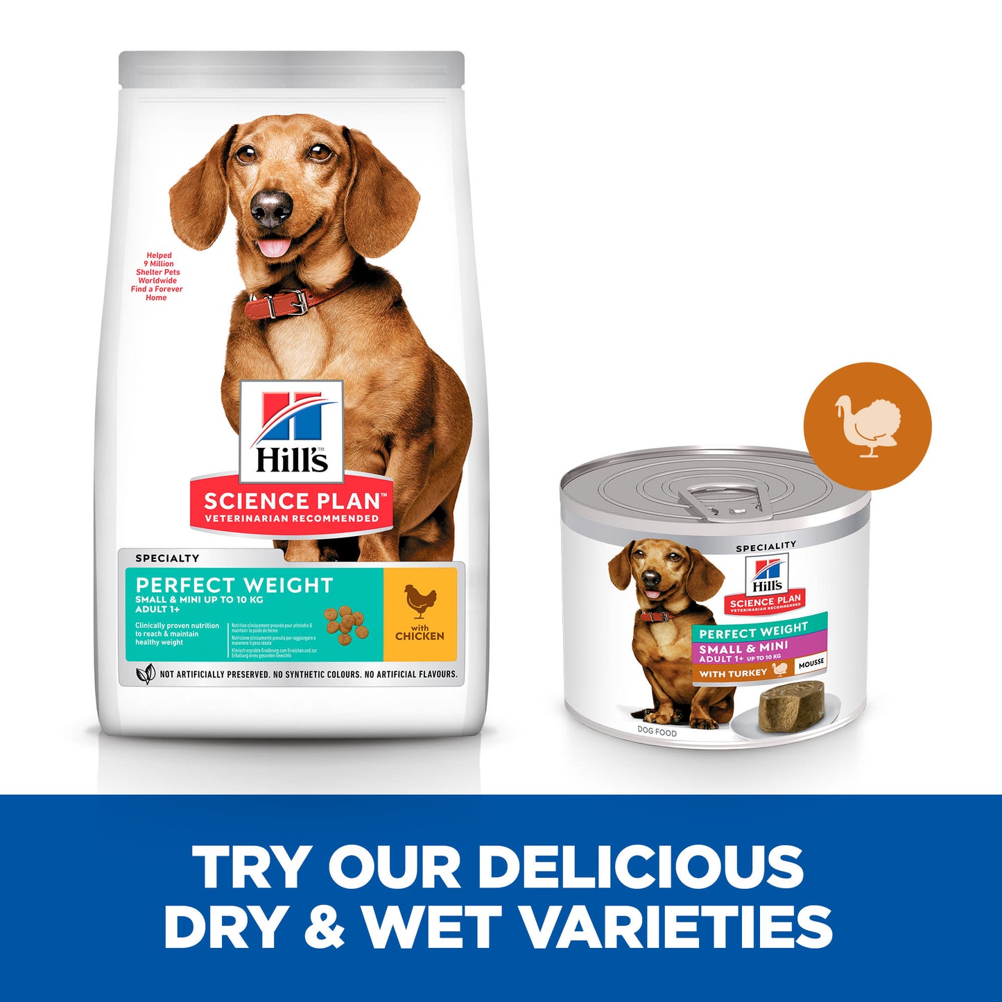 Hill's Science Plan Perfect Weight Adult Small & Mini Wet Dog Food - Turkey