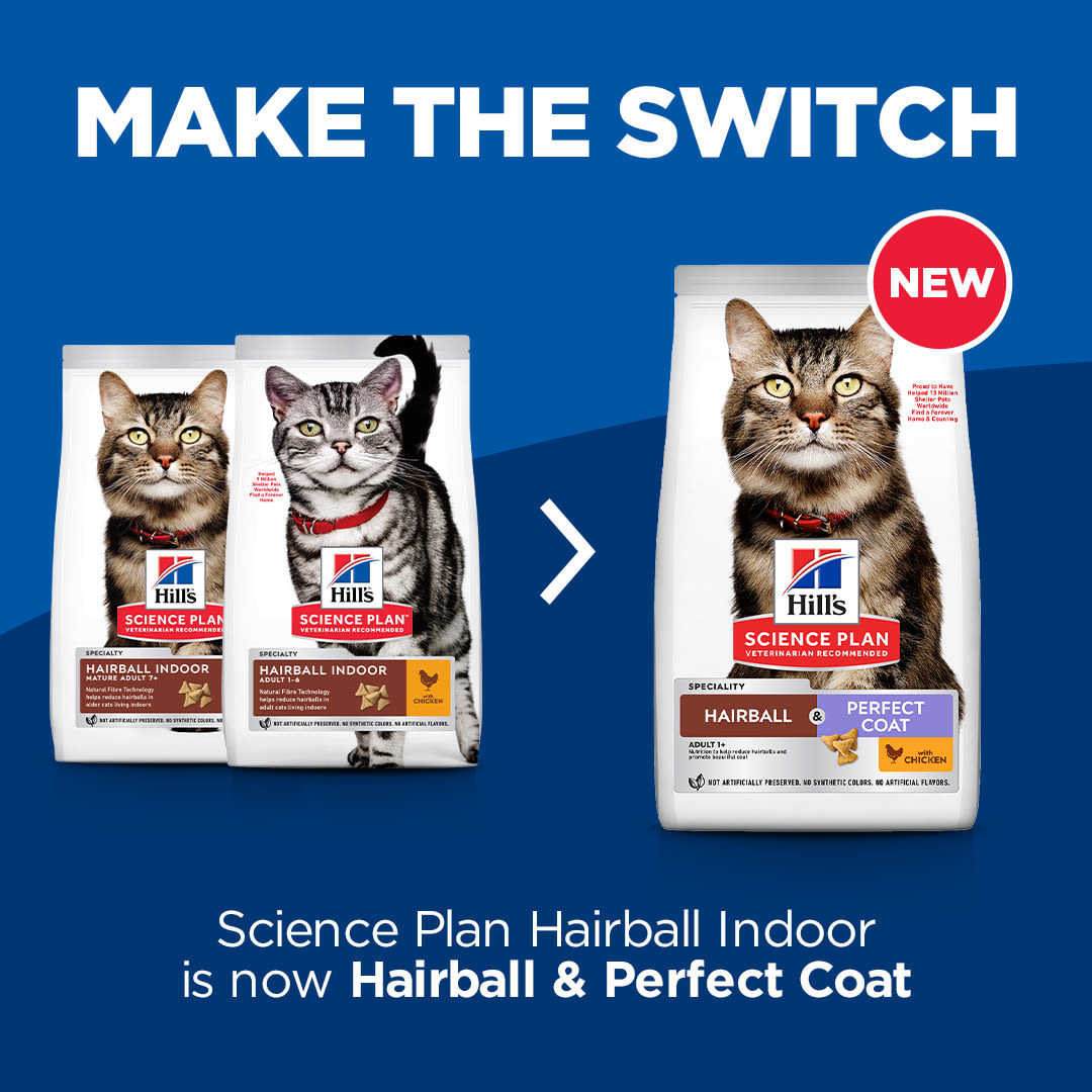 Hill's Science Plan Hairball & Perfect Coat Adult Dry Cat Food - Chicken
