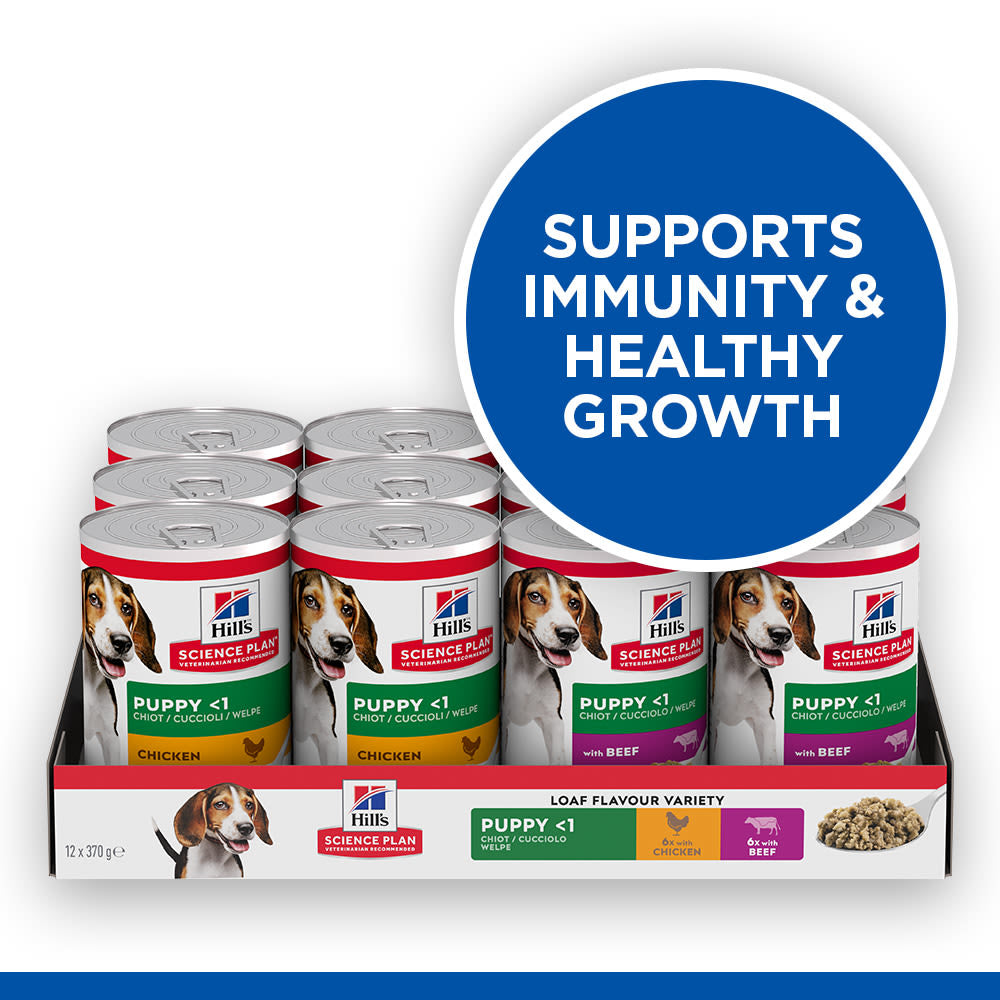 Hill's Science Plan Variety Pack Puppy Wet Dog Food with Chicken and Beef