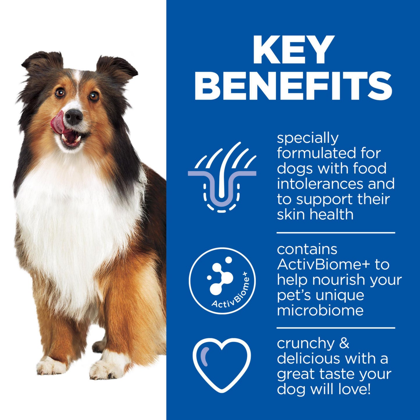 Hill's Hypoallergenic Adult Dog Treats