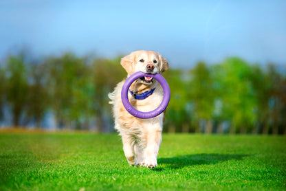 Collar Rubber Puller Dog Fitness Tool Standard