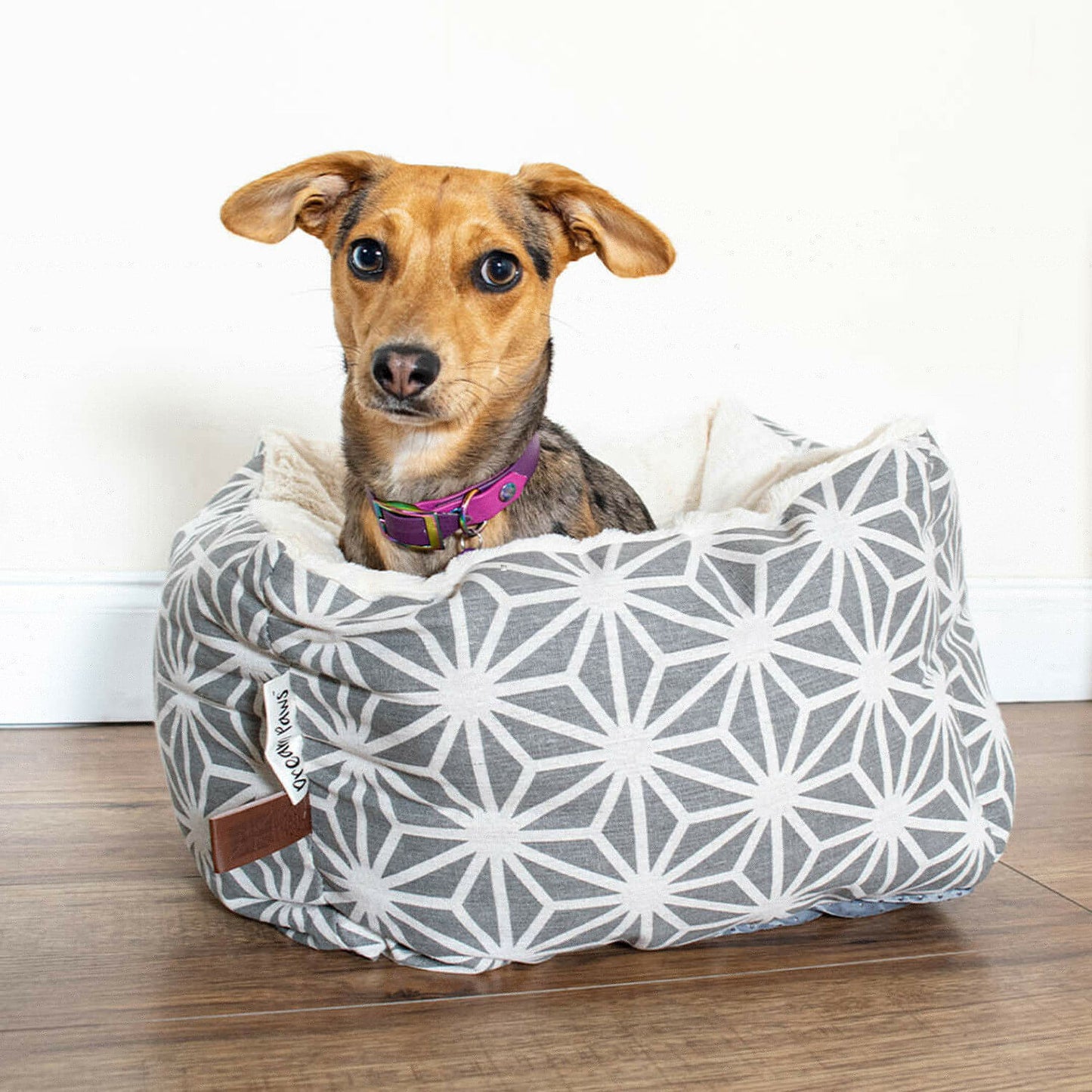 Dreams Paws Geometric Polyster Snuggle Dog Bed