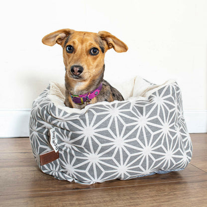 Dreams Paws Geometric Polyster Snuggle Dog Bed