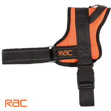 Rac Advanced Polyster Walking Dog Harness