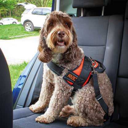 Rac Advanced Polyster Walking Dog Harness