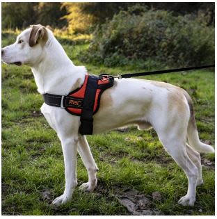 Rac Advanced Polyster Walking Dog Harness