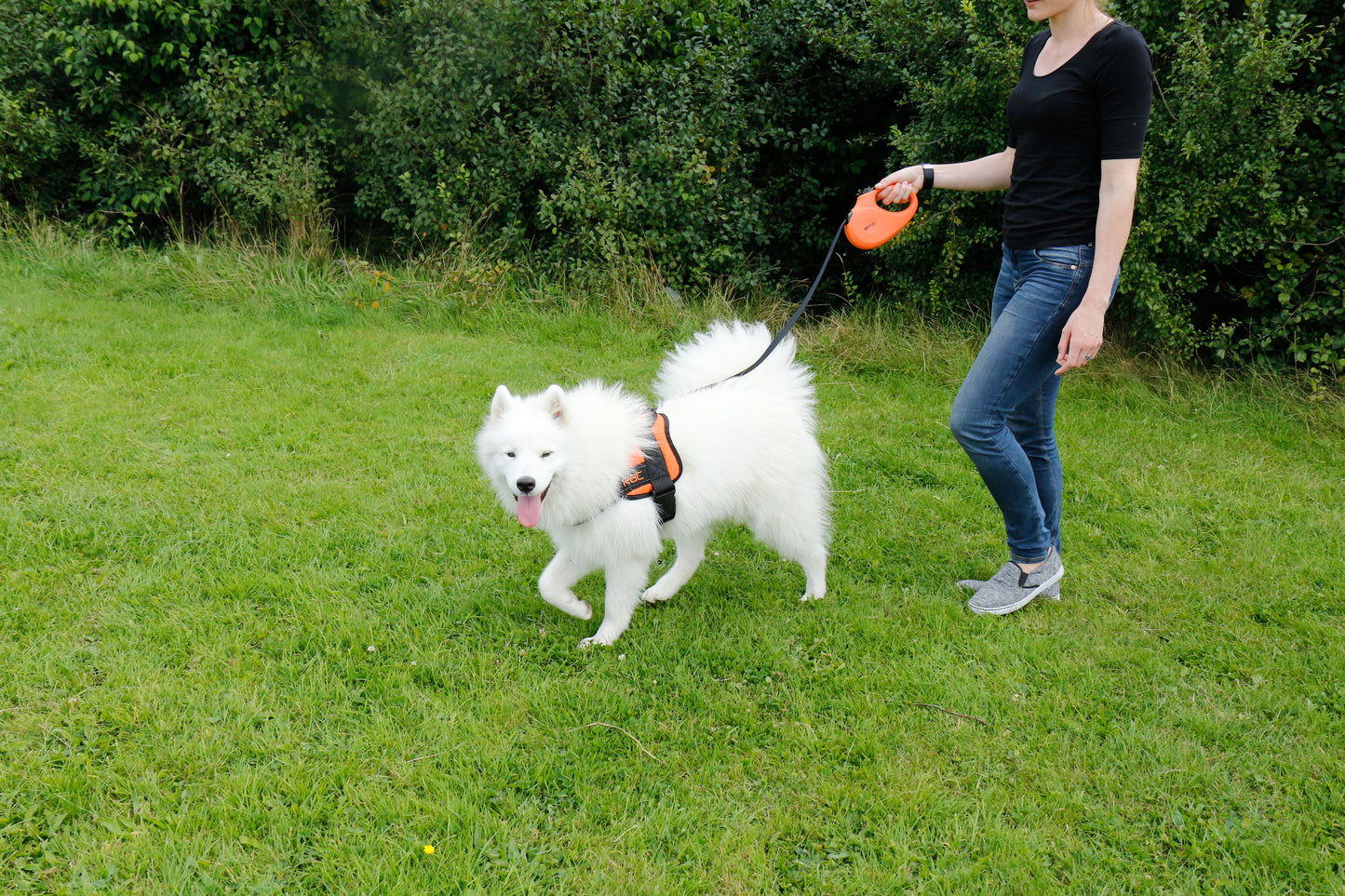 Rac Advanced Polyster Walking Dog Harness