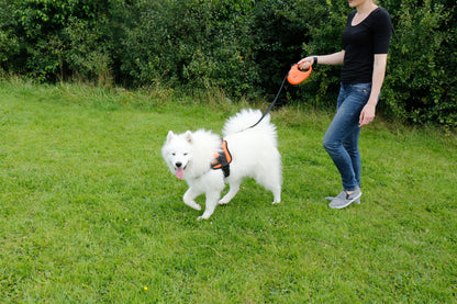 Rac Advanced Polyster Walking Dog Harness