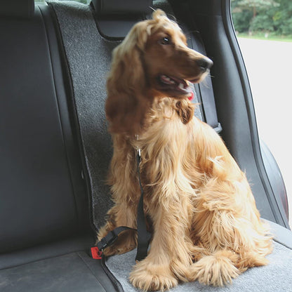 Rac In-car Seatbelt Connector Strap Harness