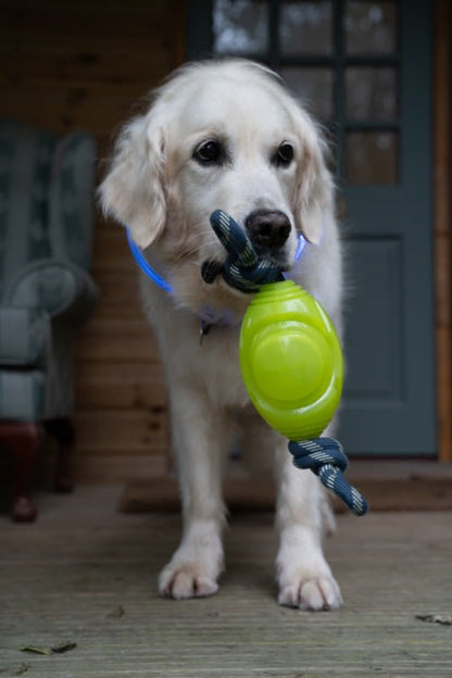 Petface Outdoor Paws Glow in the Dark Rugby Ball with Rope Dog Toy