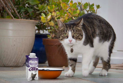 Toplife Formula Low Lactose Cows Milk for Cat